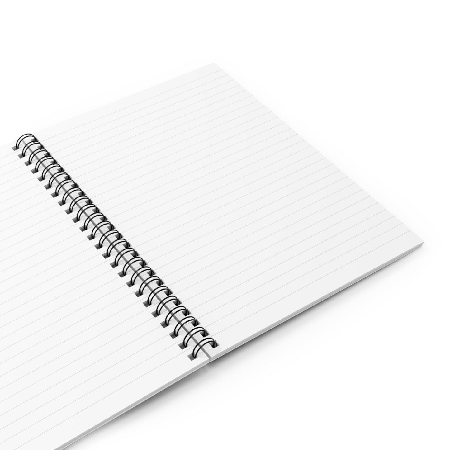 DINOmite Entrepreneurs Notebook
