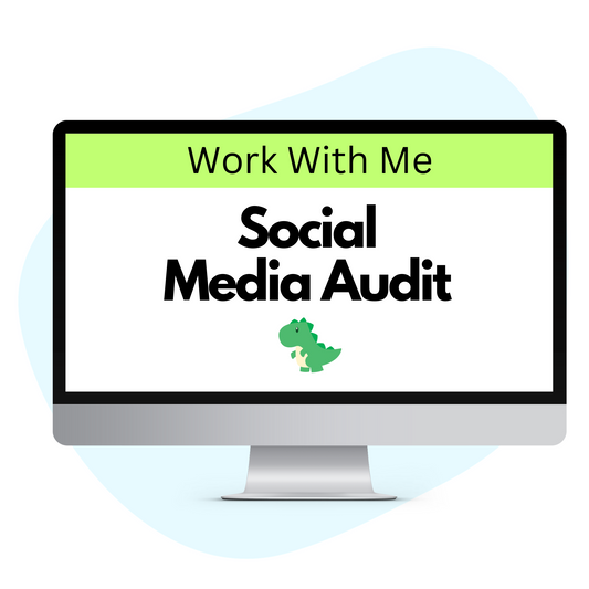 Social Media Audit