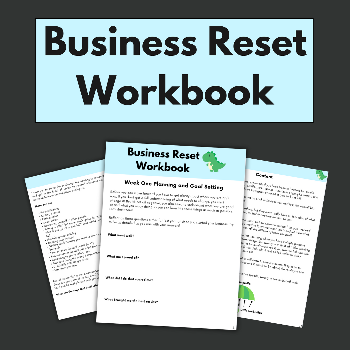 [Flash Sale - save 50%] Business Reset Workbook